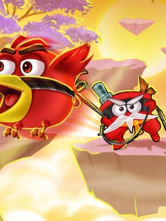🗺️ Play Rope Ninja