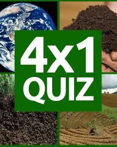 ❓ Play 4×1 Picture Quiz