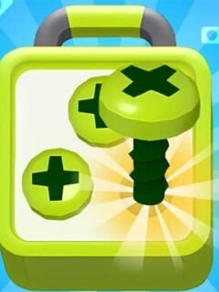 🧩 Screw Sort Puzzle